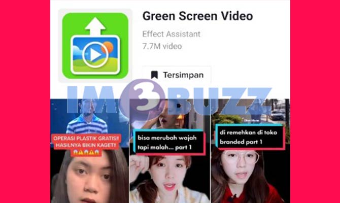 1. filter tiktok green screen video