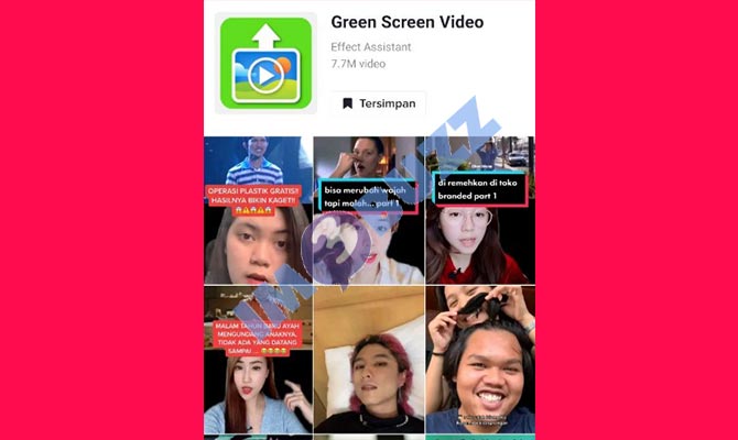 12. filter tiktok green screen video