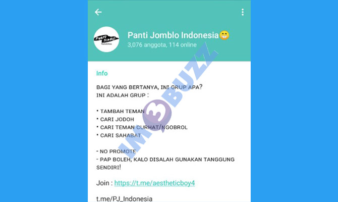 22. grup panti jomblo indonesia