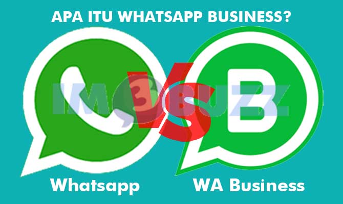 Apa Itu Whatsapp Business