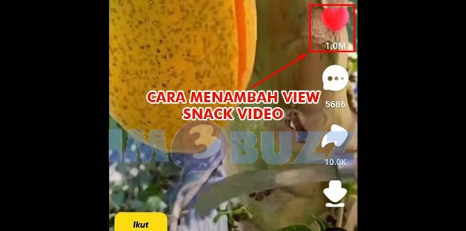 Cara Menambah View Di Snack Video