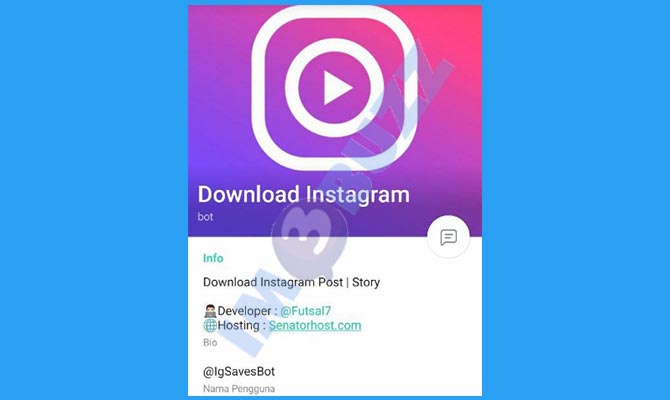 2. Download Instagram Bot Telegram Untuk Download Video IG