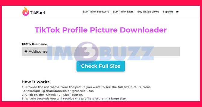 3. Foto Profil TikTok Downloader Tikfuel