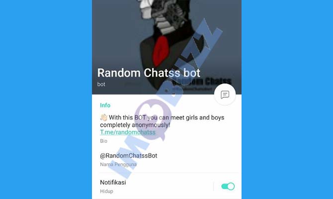 3. Random Chatss Bot Bot Telegram untuk mencari teman baru