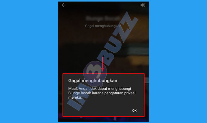 7. Tidak Bisa Melakukan Panggilan Video Ketika Telegram di Blok