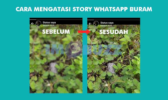 Cara Agar Story Whatsapp Tidak Buram