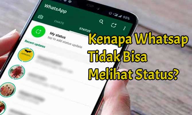 Penyebab Status Whatsapp Tidak Muncul