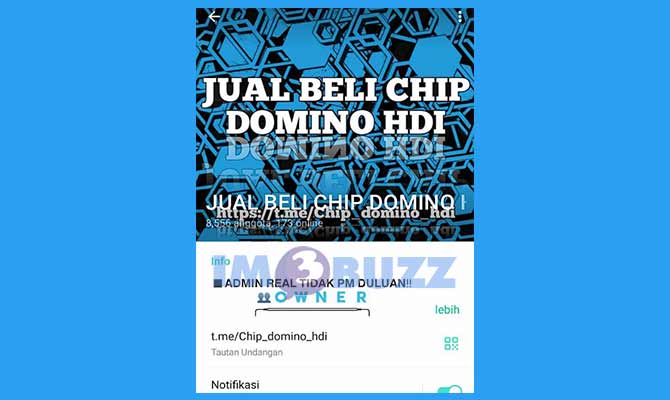 Grup Telegram JUAL BELI CHIP DOMINO HDI