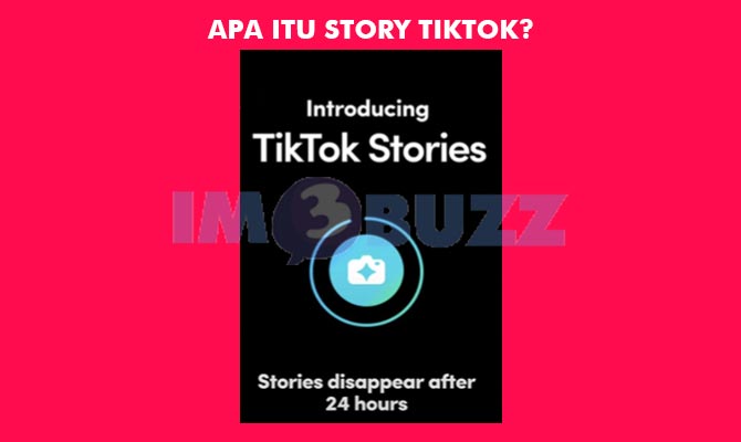 Apa Itu Story TikTok?